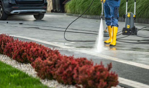 Professional Pressure Washing Services in Pine Manor, FL